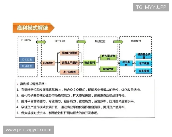全面解析ag竞咪厅的运营模式与盈利策略，助你成为行业专家